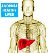 Increased Alcohol Abuse Taking Its Toll on The liver